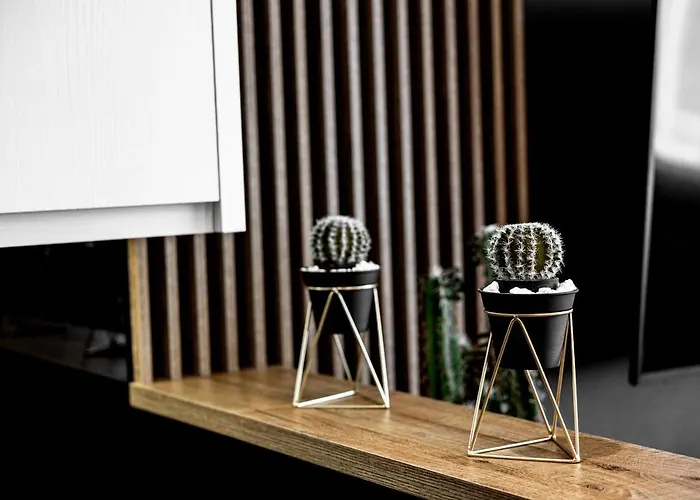 Ratusz Exclusive Apartment- Przy Ratuszu